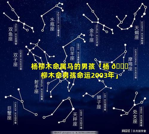 杨柳木命属马的男孩「杨 🐕 柳木命男孩命运2003年」